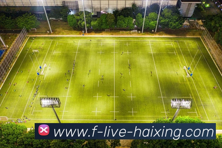 海星体育官网发展历程